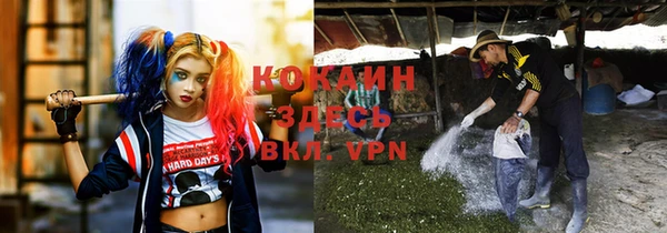 дмт Алексеевка